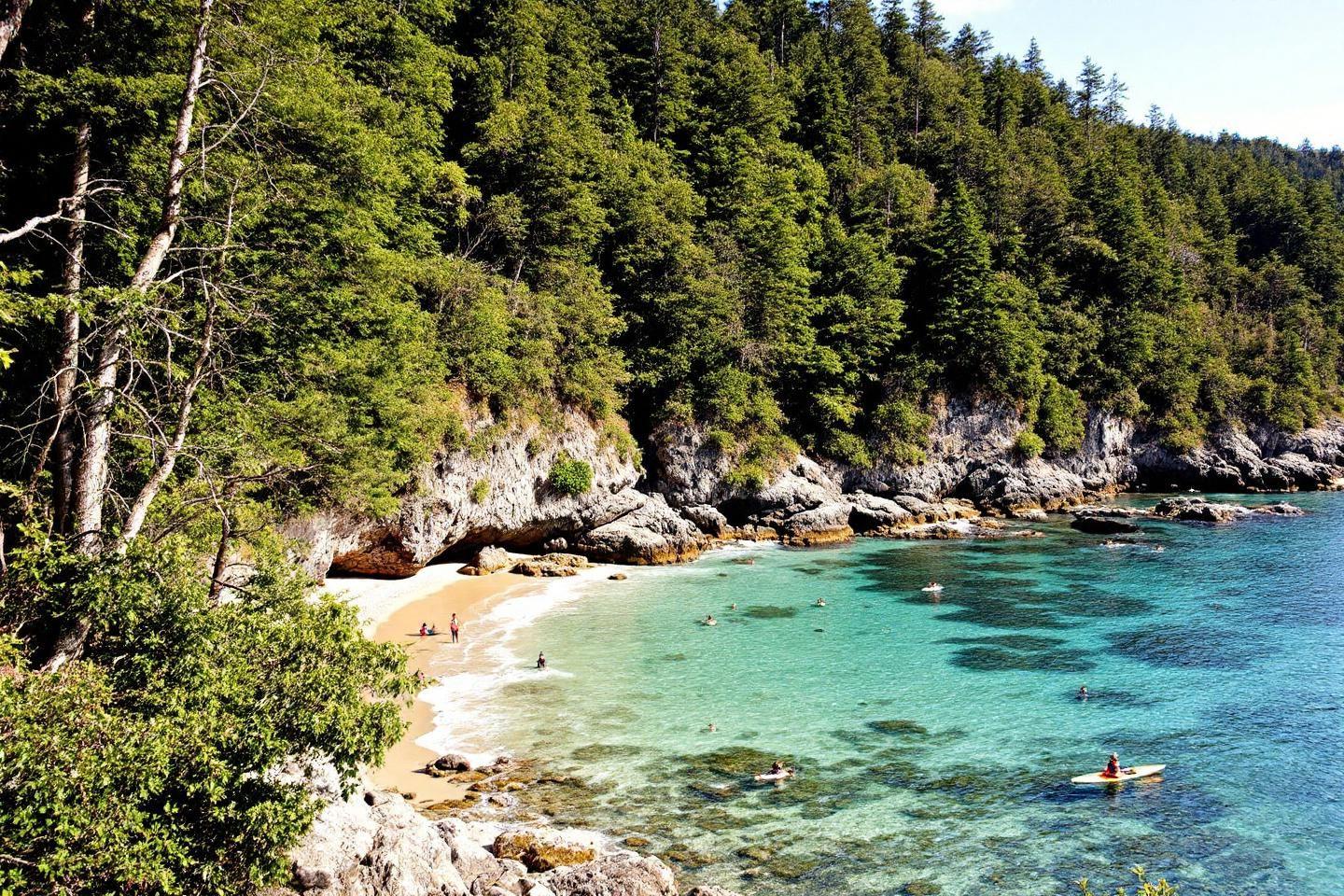 Découvrez le parc national Abel Tasman : guide complet pour randonnées et kayak en Nouvelle-Zélande